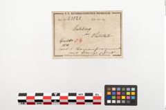 Etiketten zu Keramikkragenrandgefäß (NHMW-PRAE-023822)